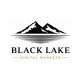 Black Lake Launches Harbor Verify to Bring Verifiable Credit to Onchain Markets