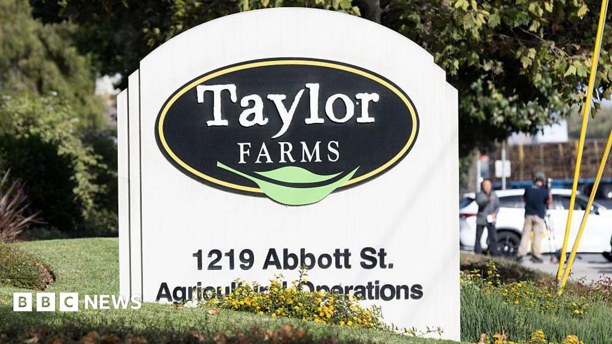 A curved white sign with a black sideways oval on it containing the words Taylor Farms in white with a green leaf below. The sign is on a mown grass lawn with trees in the background and with a white car parked to the side.