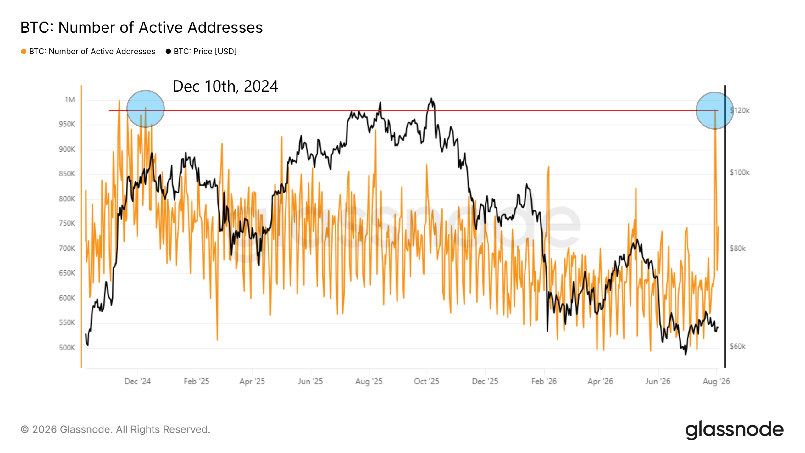 Bitcoin’s Most Active Day Since 2024. What Happened On-Chain During the Coldcard Panic