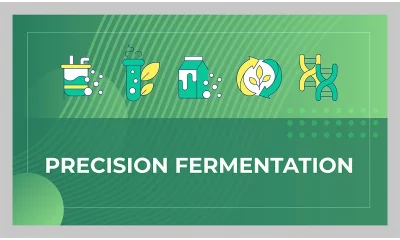 Opinion: Precision fermentation startups ever closer to commercial scale