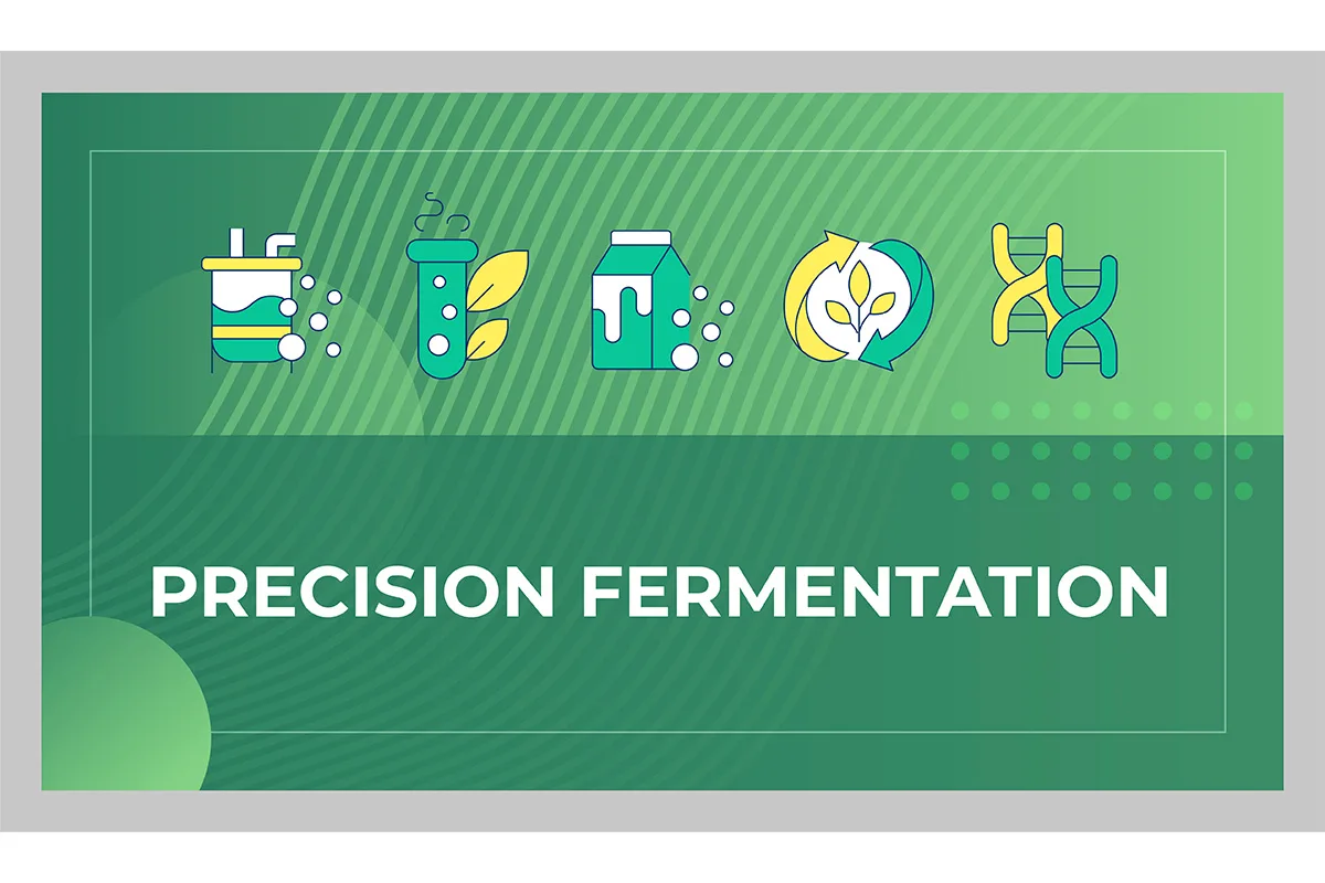Opinion: Precision fermentation startups ever closer to commercial scale