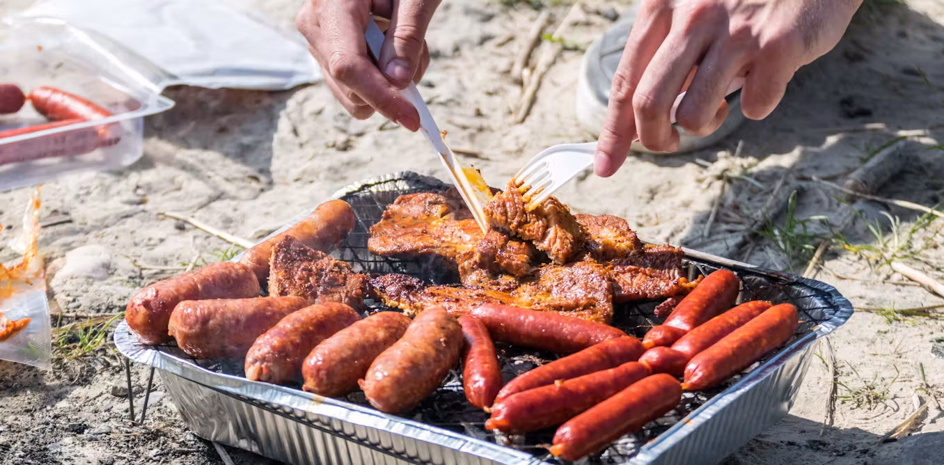 why disposable BBQs are being banned from some parks and beaches