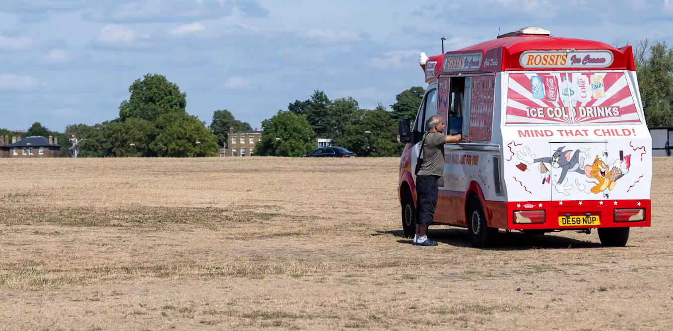 Why has Britain’s grass turned yellow? A plant scientist explains what happens next