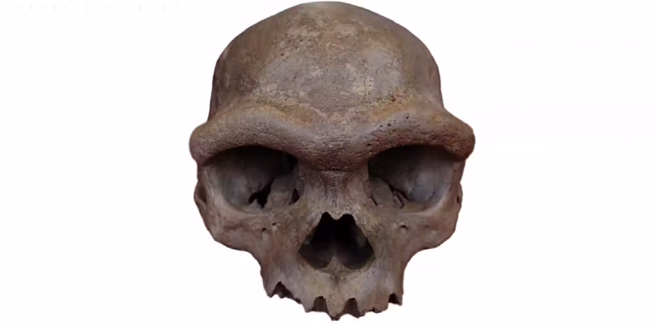 Were Denisovans tall compared to other ancient humans? We should be sceptical