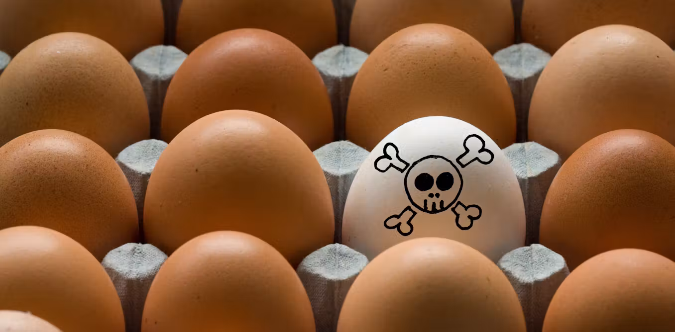 Why does Salmonella cause serious illness in some people but not others?