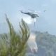Firefighting Helicopters Collide Near Athens as Greece Battles Wind-Driven Wildfires,