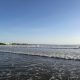 Florida Reports First Flesh-Eating Bacteria Death of 2026 as Vibrio
