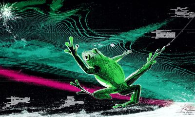 Uniswap Ships A Memecoin Launchpad On Robinhood Chain, Topped By $FRONG Token Minted Six Days Early