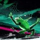 Uniswap Ships A Memecoin Launchpad On Robinhood Chain, Topped By $FRONG Token Minted Six Days Early