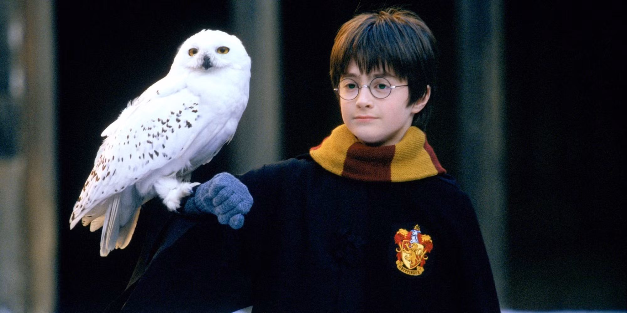 Bring Home a Piece of the Wizarding World as Harry Potter Announces Its Popcorn Bucket Collection