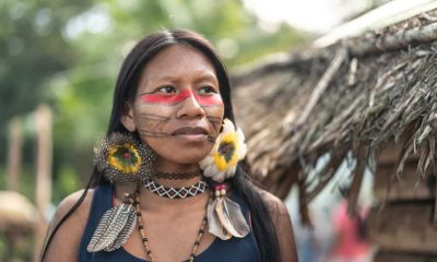What went right this week: promising news from the Amazon, plus more
