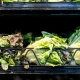 Cyclosporiasis outbreak now spreads to Georgia, Tennessee and Texas