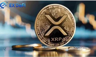 XRP drops below $1 to hit 2024 lows: How holders can earn $10,000 daily in a volatile market - 3