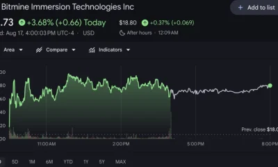 Bitmine (BMNR) stock price chart, source: Google Finance