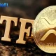 XRP ETF inflows surpass $1.5 billion: XRP holders can earn up to $10,000 daily - 3