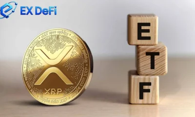 XRP ETF inflows top $1.55 billion; XRP price rebounds; holders earn up to $9,000 daily - 3