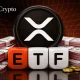 XRP spot etf cumulative inflows surpass $1.637B: XRP holders can earn up to $10,000 per day - 3