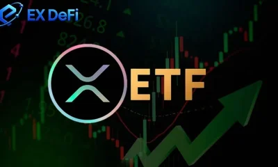 Wall Street predicts XRP ETFs will attract $8 billion in inflows, with XRP holders potentially earning up to $9,000 per day - 3