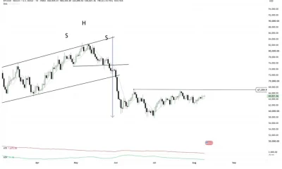 Bitcoin (BTC) price chart, source: Peter Brandt/X