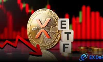 XRP ETF inflows plunge 93%: How XRP holders can mitigate risk and earn $7,500 daily - 3