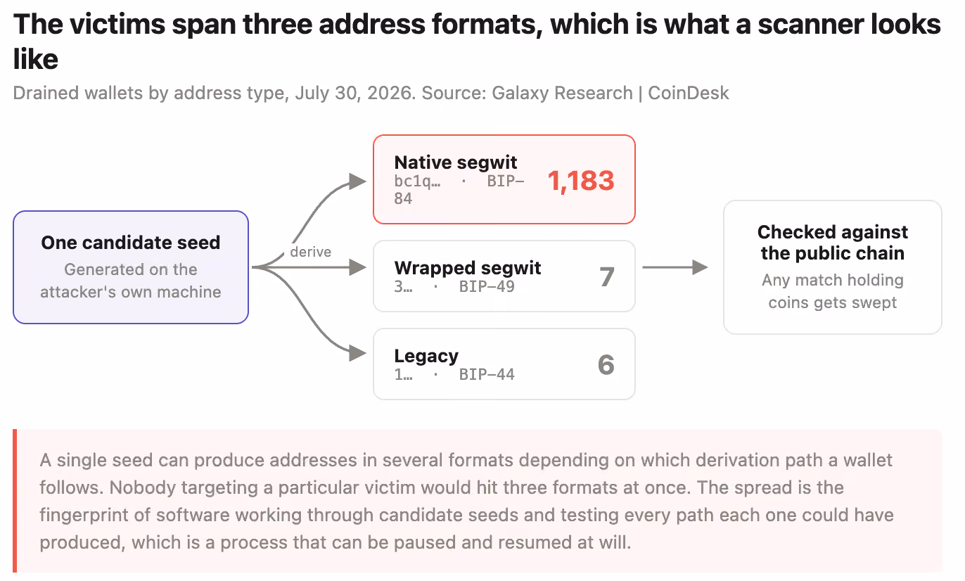 The victims span three address formats, which is what a scanner looks like. (Shaurya Malwa/CoinDesk)