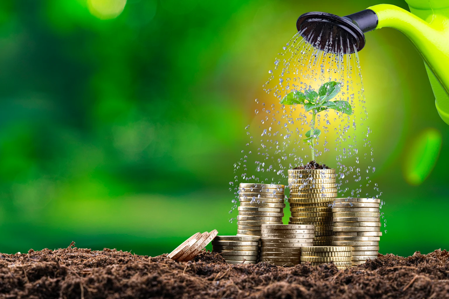 Hartford Large Cap Growth ETF Q2 2026 Commentary