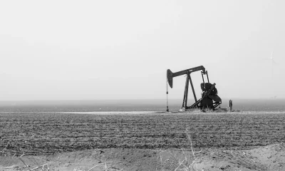LandBridge: My Biggest Investment Ever Is Just Getting Started (NYSE:LB)