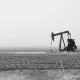 LandBridge: My Biggest Investment Ever Is Just Getting Started (NYSE:LB)