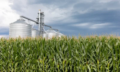 Alto Ingredients Stock: Strong Margin Expansion Is Driving Above-Average Earnings Growth