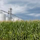 Alto Ingredients Stock: Strong Margin Expansion Is Driving Above-Average Earnings Growth