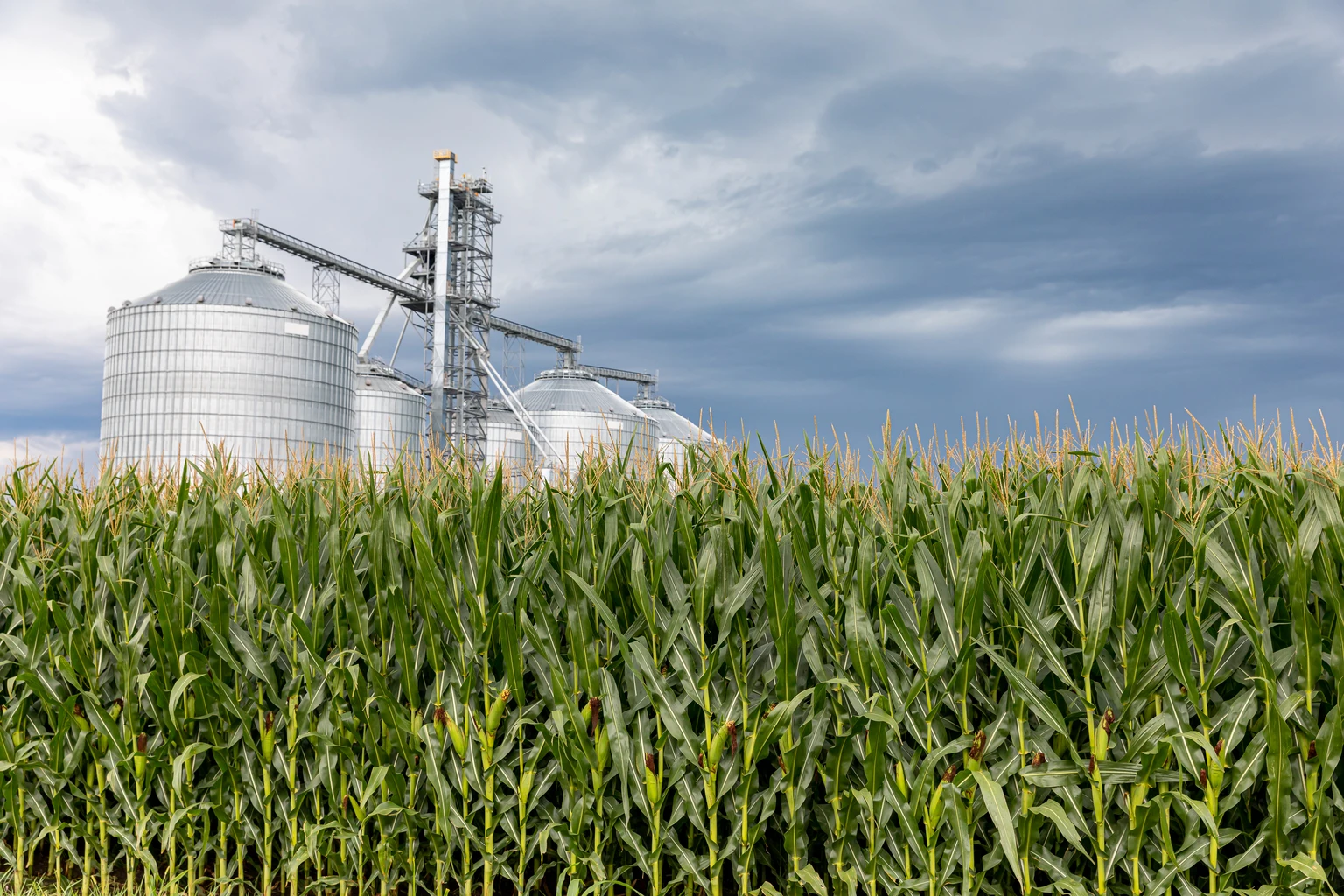 Alto Ingredients Stock: Strong Margin Expansion Is Driving Above-Average Earnings Growth