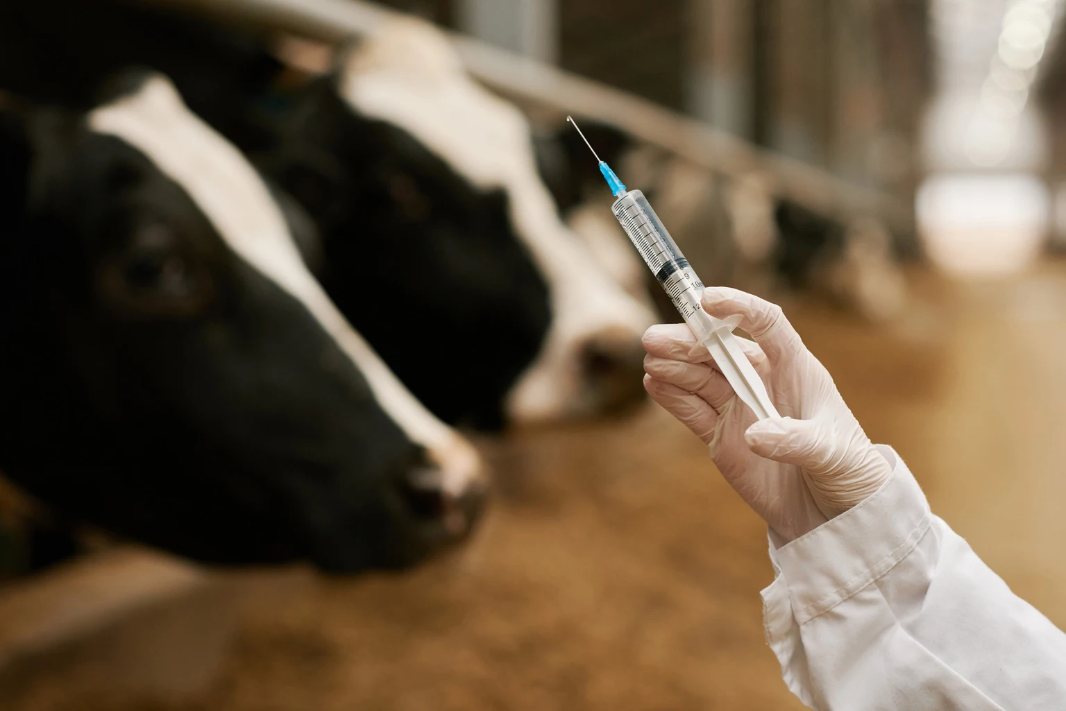 Phibro Animal Health: Zoetis Integrated And Better Cash Flow Ahead