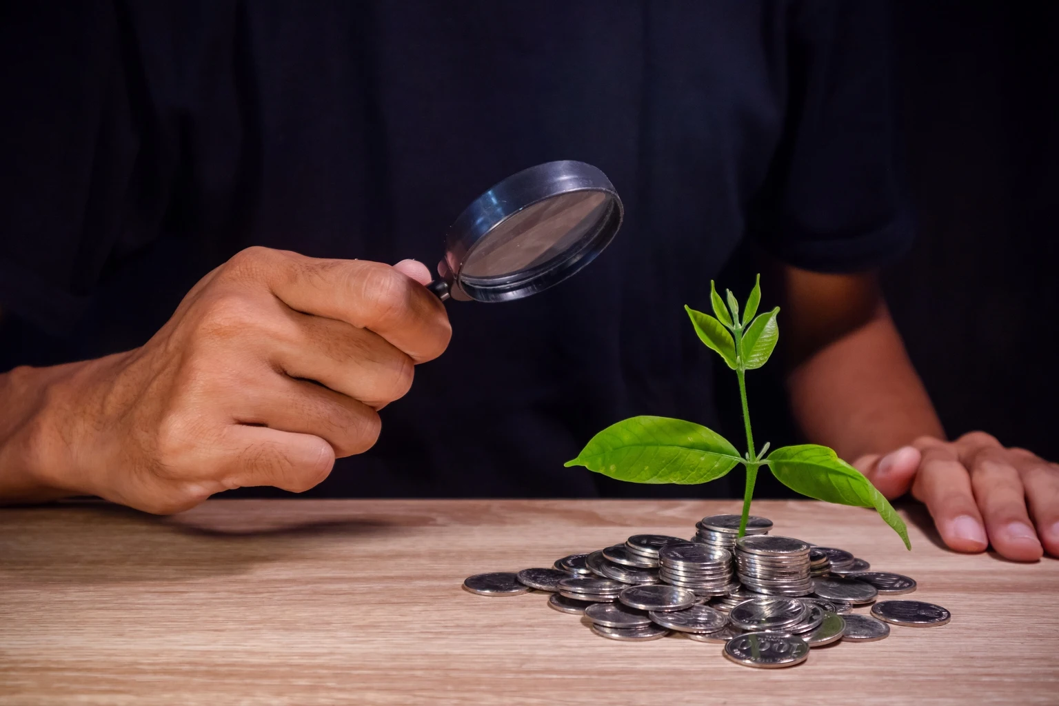 Invesco Discovery Mid Cap Growth Fund Q2 2026 Commentary