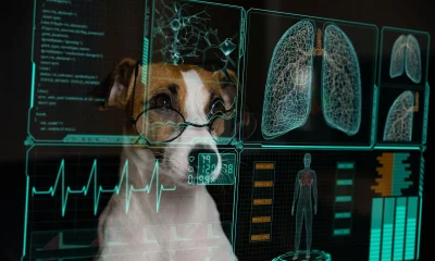 Sorry QTUM, WQTM Is The Better Quantum ETF