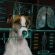 Sorry QTUM, WQTM Is The Better Quantum ETF