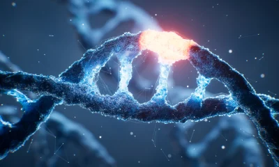 Prime Medicine: An Initial Prognosis