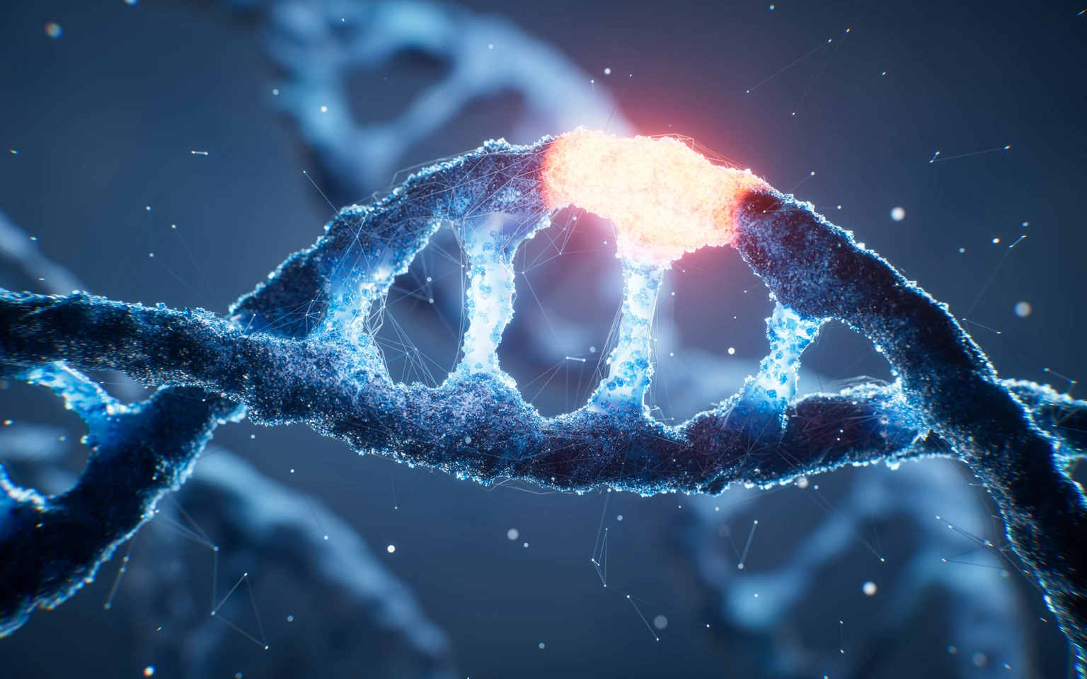 Prime Medicine: An Initial Prognosis