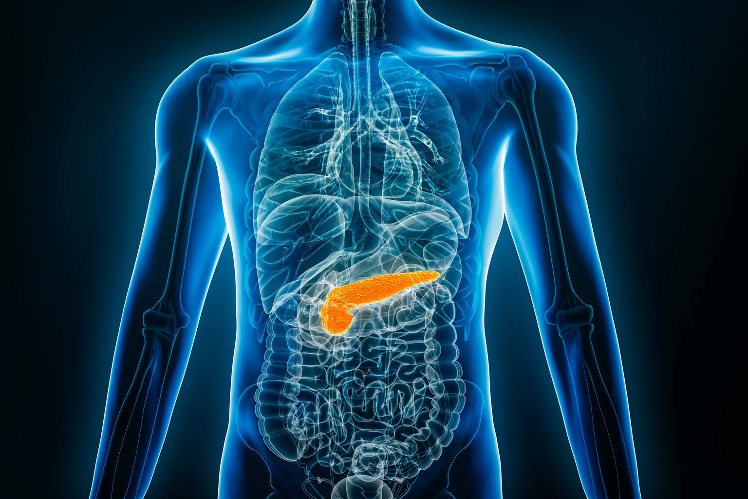 Tango Therapeutics: Promising Early Data, But A Long Road Ahead