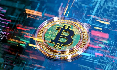 Whale's Insight: Bitcoin Roars Back - The Next Bull Cycle May Have Begun