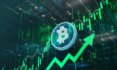 Bitcoin's Bear Is Ready For Hibernation