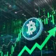Bitcoin's Bear Is Ready For Hibernation