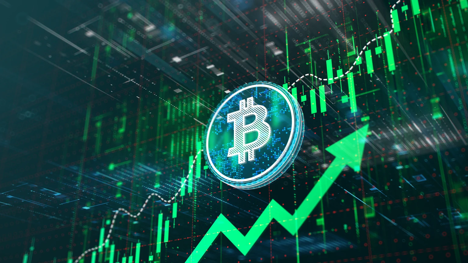 Bitcoin's Bear Is Ready For Hibernation