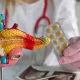 Doctor holds a model of the pancreas and a blister pack of medication in a clinic