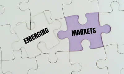 TCW Emerging Markets Local Currency Income Fund Q2 2026 Commentary