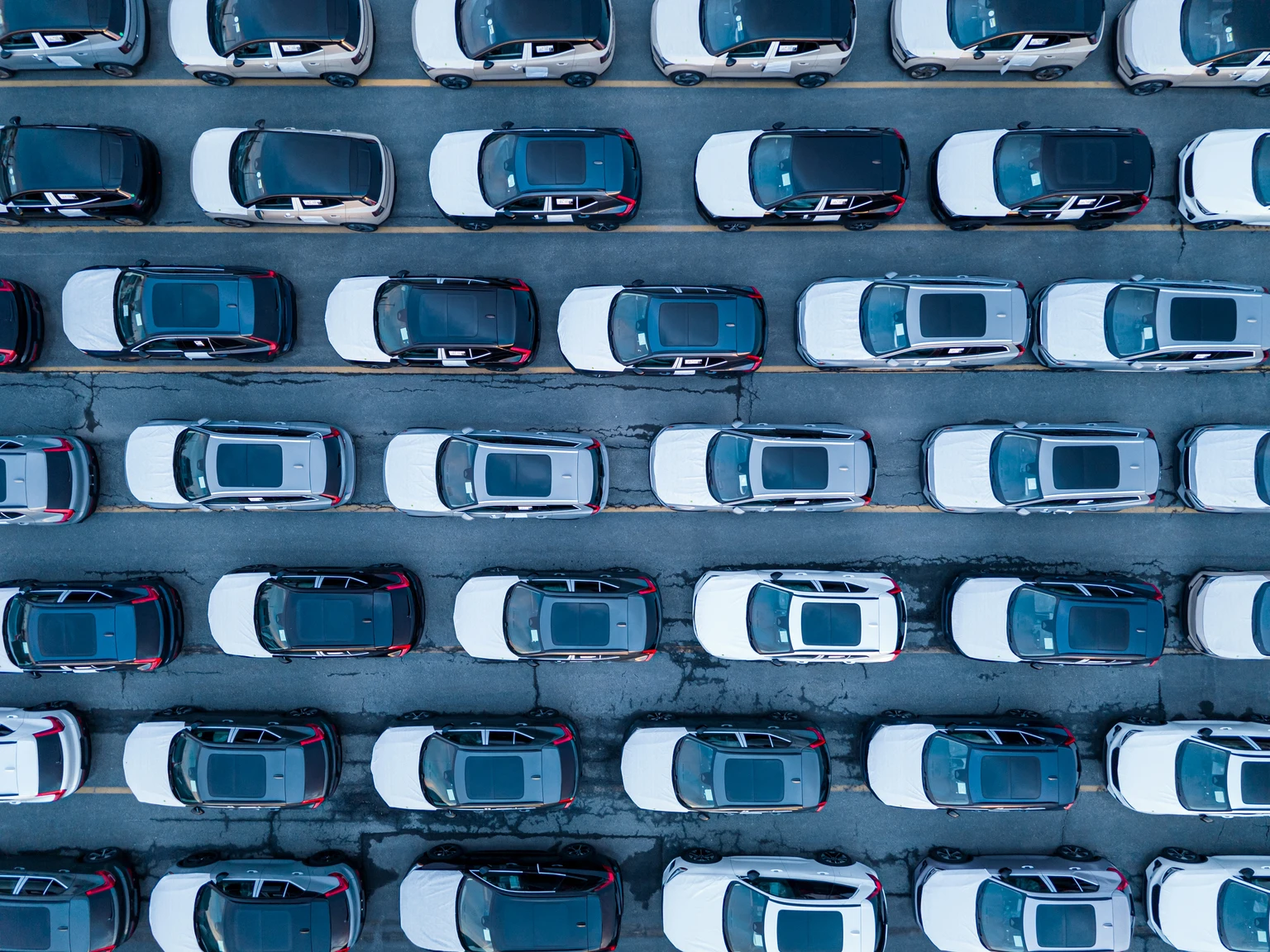 CarGurus: Strong 2Q26 Driven By AI (NASDAQ:CARG)