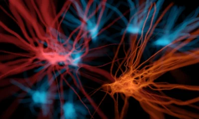 TG Therapeutics: Why I'm Staying Long After The Q2 Selloff (NASDAQ:TGTX)
