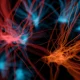TG Therapeutics: Why I'm Staying Long After The Q2 Selloff (NASDAQ:TGTX)