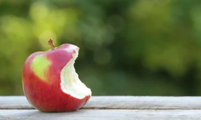 Acadia Pharmaceuticals: Another Bite At The Alzheimer's Apple (NASDAQ:ACAD)