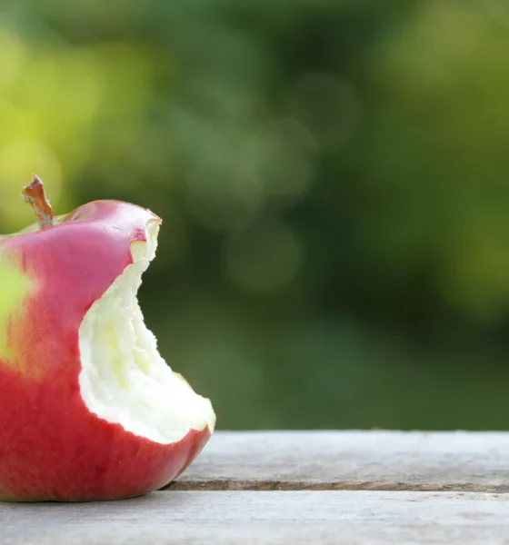 Acadia Pharmaceuticals: Another Bite At The Alzheimer's Apple (NASDAQ:ACAD)
