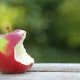 Acadia Pharmaceuticals: Another Bite At The Alzheimer's Apple (NASDAQ:ACAD)